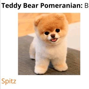 Meet your Posher, Kashun